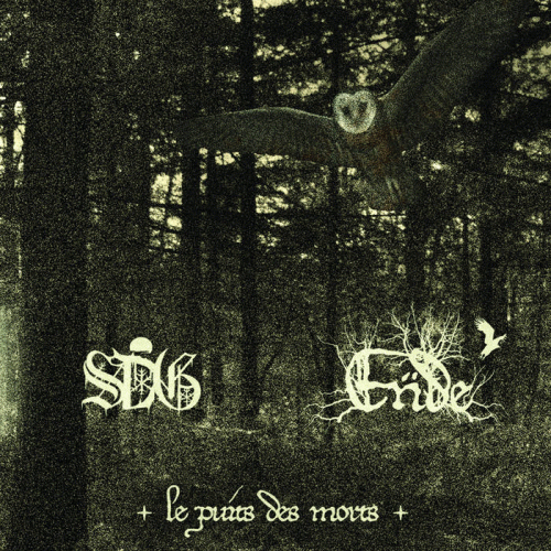 Sorcier Des Glaces : Le Puits des Morts